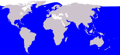 Humpback Whale Distribution (Credited to Wikipedia)